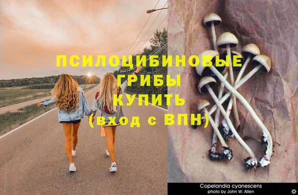 мет Алексин