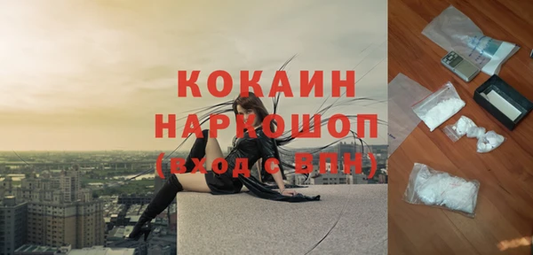 мет Алексин