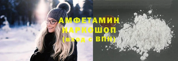 мет Алексин